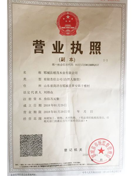 營(yíng)業(yè)執(zhí)照